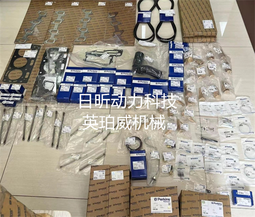 鉑金斯1006c發(fā)動機(jī)原廠零配件的種類