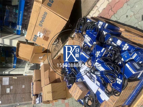 江蘇寶藏珀金斯發(fā)電機(jī)組配件商，你找到了嗎？