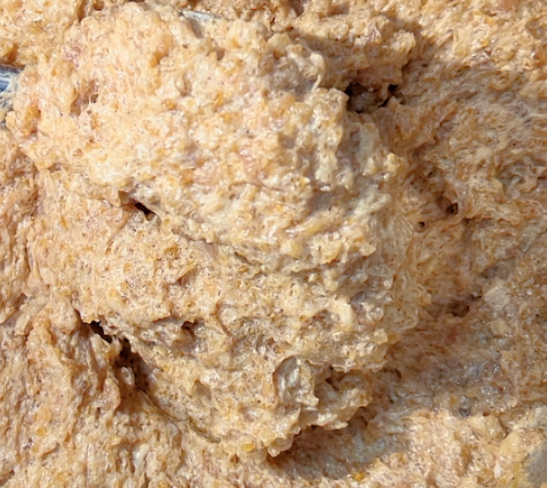 包子機怎么做帶湯的包子 包子機怎么做帶湯的包子