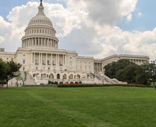 美國(guó)餃子館用餃子機(jī)包餃子