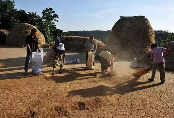 年輕人花拳繡腿，吹噓用包子機可以做老面包子？